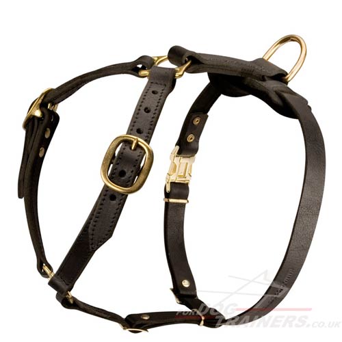 Luxury dog harness for Doberman