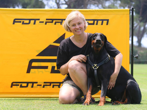 Doberman Harness for Dog