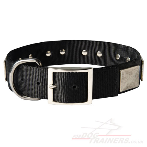Nylon Dog Collar with Buckle