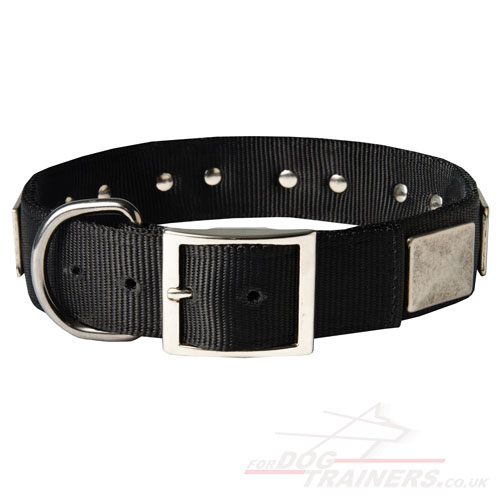 Studded Nylon Dog Collar with Buckle