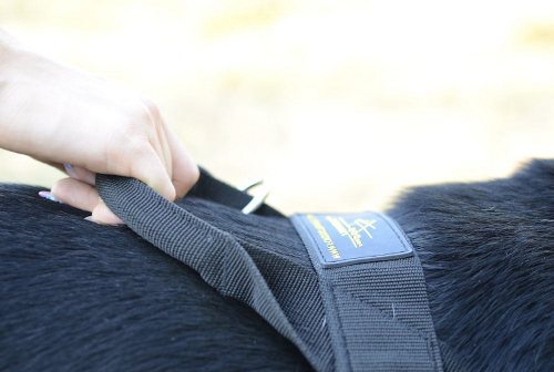 K9 equipment dog harness