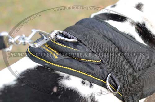 Nylon Dog Harness