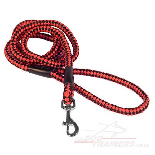 Cord nylon dog lead