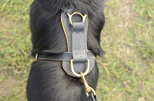 German Shepherd Leather Harness for Dog