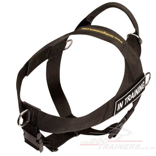 Non Pull dog harness for K9 dogs