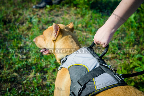 Pitbull Dog Harness Vest