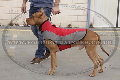 X Large Waterproof Dog Coat for Pitbull
