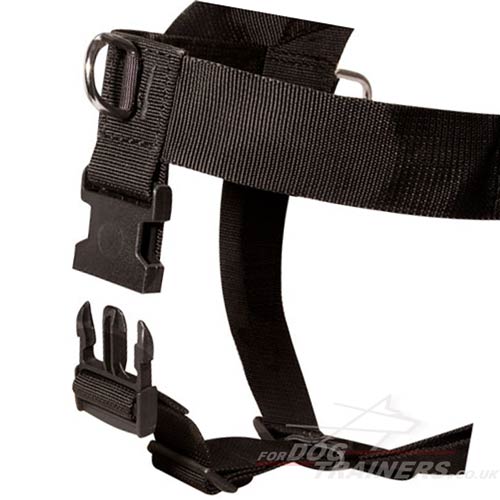 dog harness with front d ring