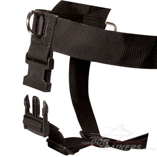 Non pull dog harness