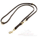 Dog leash with two snap hooks