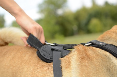 Leather dog harness for attack/agitation training