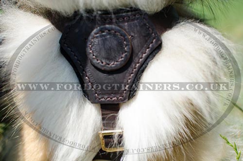 Soft Dog Harness