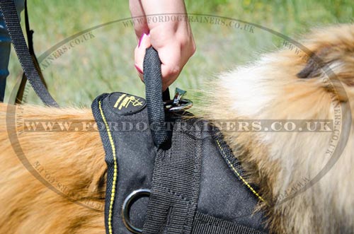 Small dog harness with handle