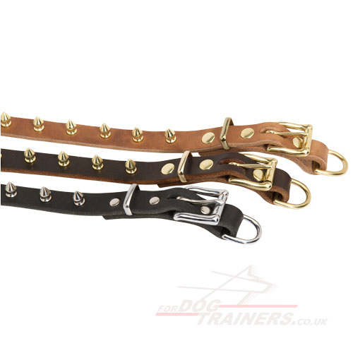 Spiked Leather Dog Collar