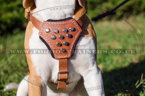 small dog harness for beagle