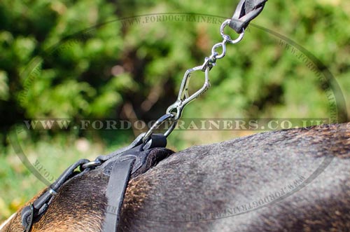 small dog harness for beagle
