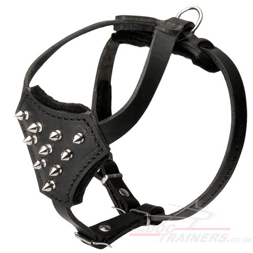 Designer Dog Harness for Small Dogs