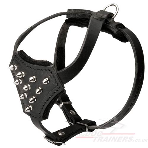 French Bulldog harness small