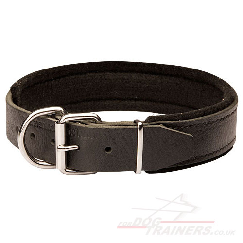 Soft dog collar