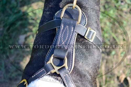 Soft Dog Harness