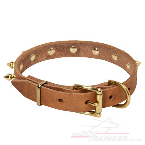 leather dog collar