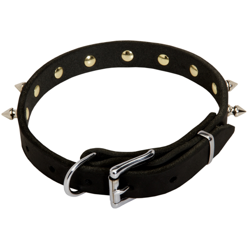 Spiked Designer Dog Collar