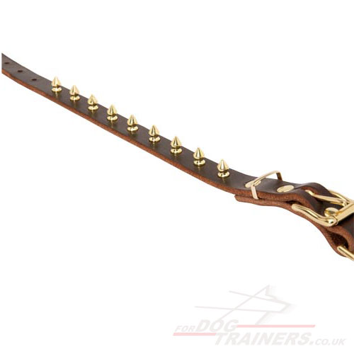 Spiked dog collar
