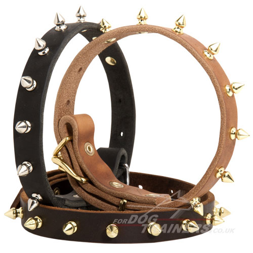 Spiked Leather Dog Collar