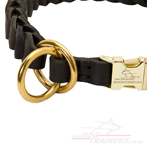 Large dog choke collar