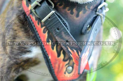 Amstaff dog leather harness