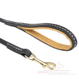 Stitched comfortable dog lead