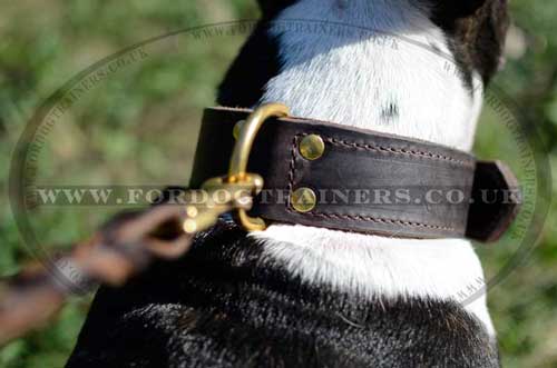 Leather dog collar