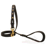 Designer dog lead