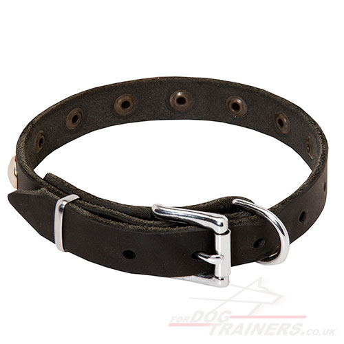 1 inch Dog Collar