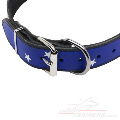 Designer Dog Collar for English Bull Terrier