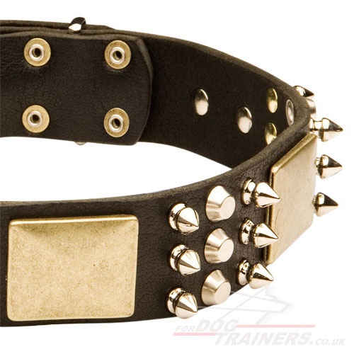 leather spiked dog collar Caucasian Shepherd