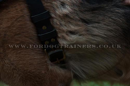 German Shepherd Assistance Dog Harness