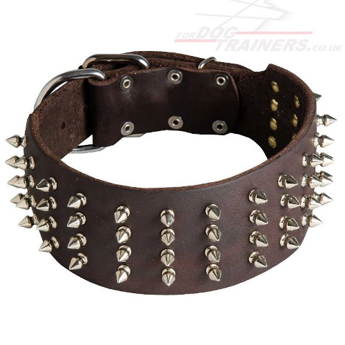 German Shepherd Collar for Sale