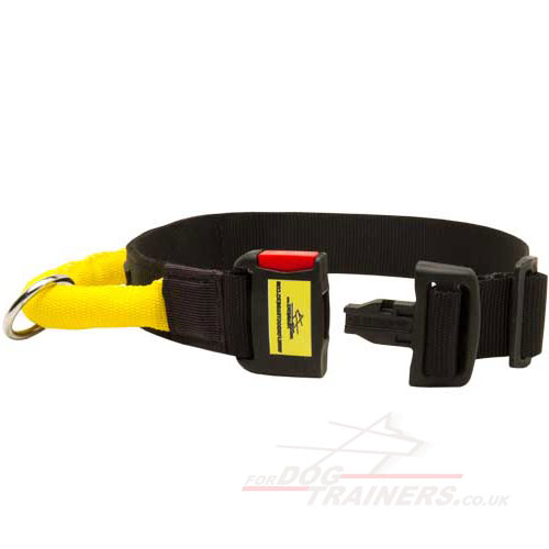 Agitation Dog Collar with Handle