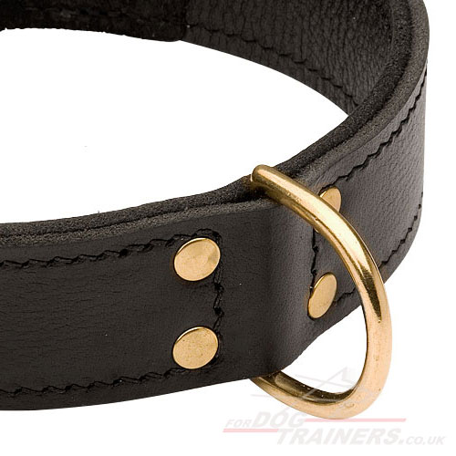 2 Ply Leather Dog Collar with Brass Hardware