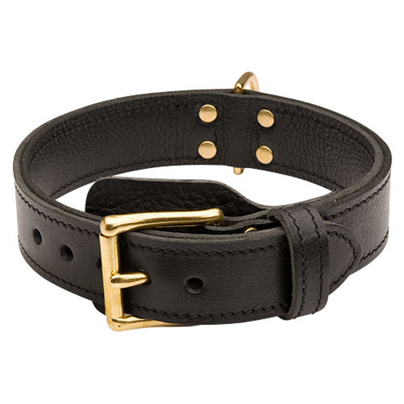 Large Leather Dog Collar for Strong Dog Control