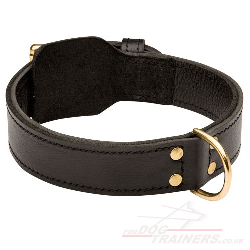 2 Ply Leather Dog Collar