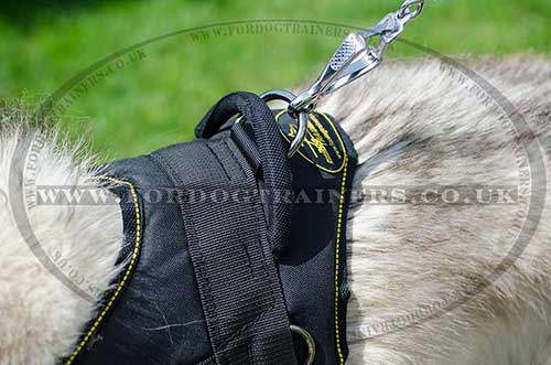 akita husky dog harness