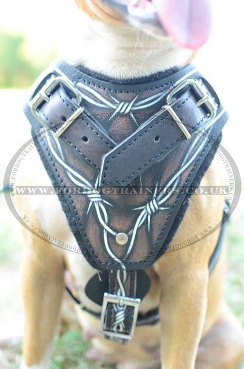 Pit Bulls Dog harness