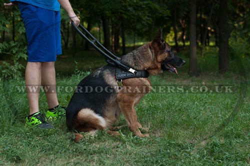 German Shepherd Guide Dog Harness with Handle