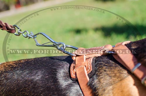 small dog harness for beagle