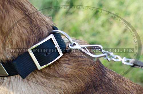 Nylon Dog Collar