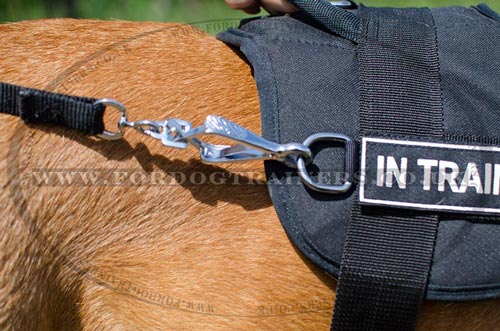 Dogue De Bordeaux Harness