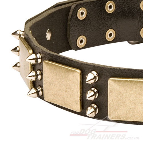 dog collar for large dog