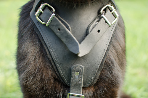 Leather Dog Harness for German Shepherd